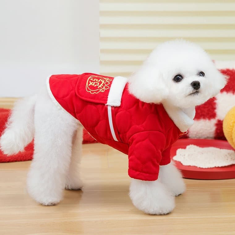 赤コーデ 福袋デザイン チャイナ風 あったか冬着