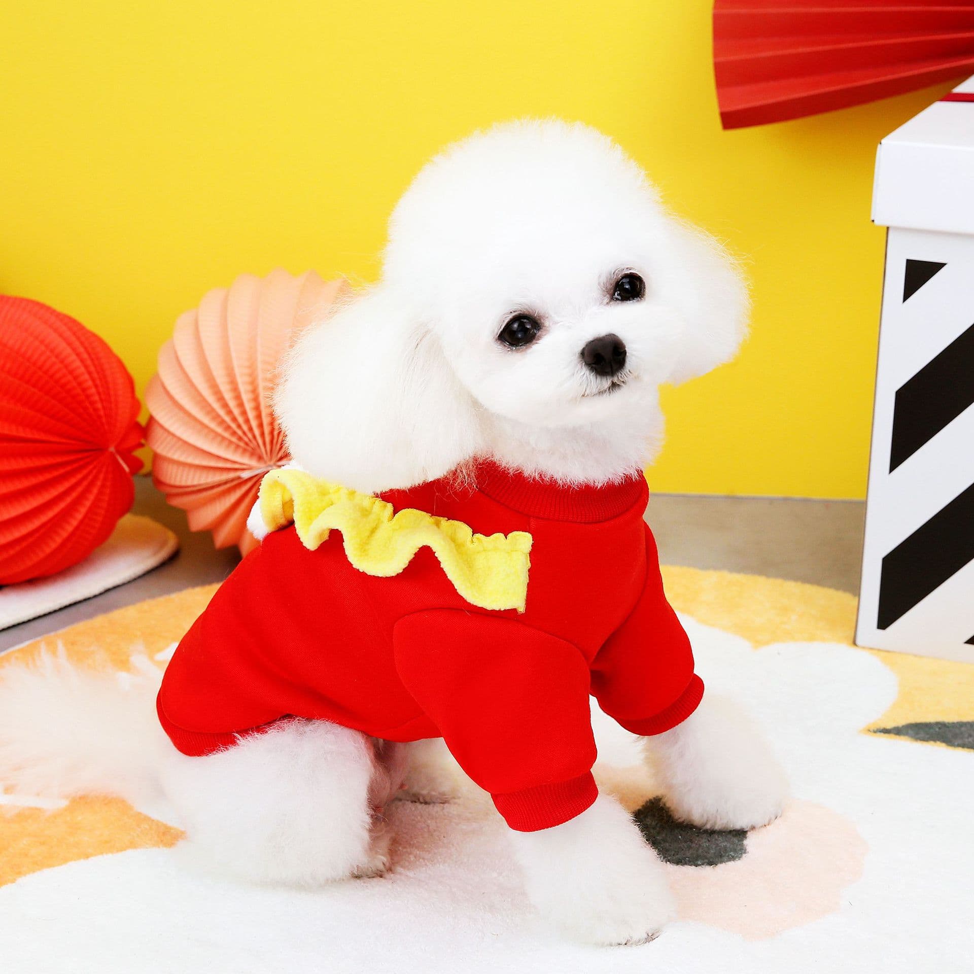 赤コーデ 獅子舞デザイン お正月ペット服